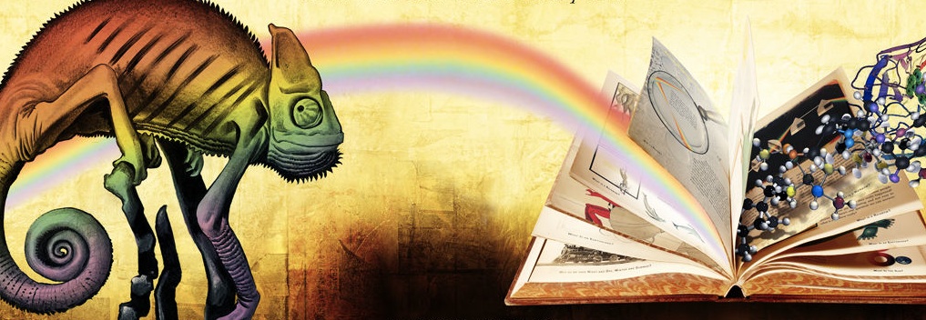 Gerçeğin Büyüsü