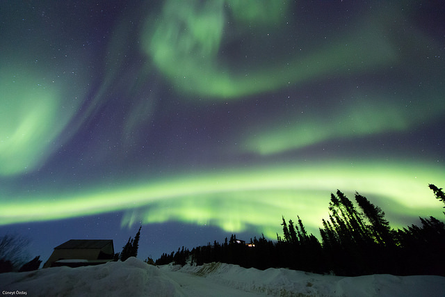 16418169533_75a9a72836_z