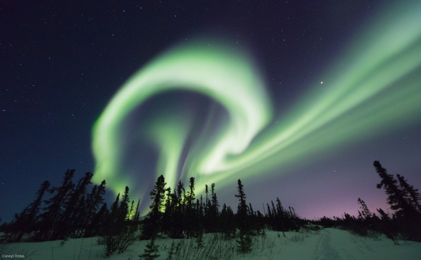 16851704109_26049286f6_k